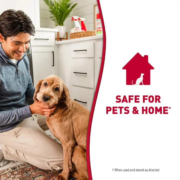 Safe For Pet