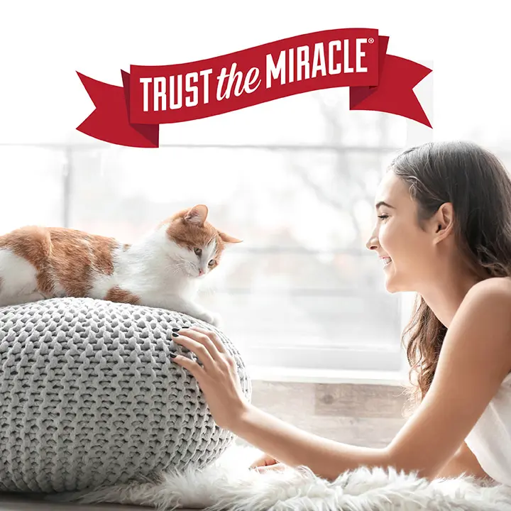 Stain and Odor Remover for Cats