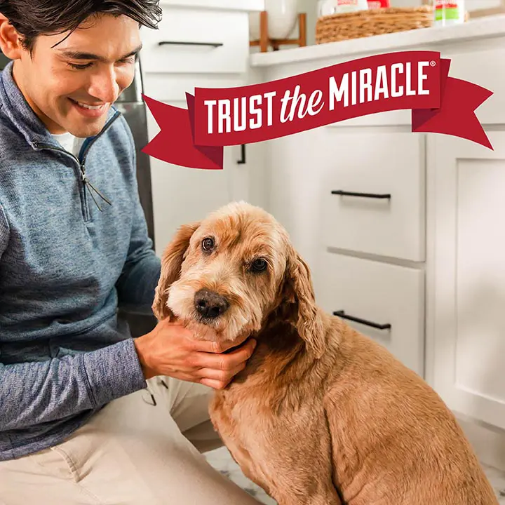 Stain and Odor Remover for Dogs Foam