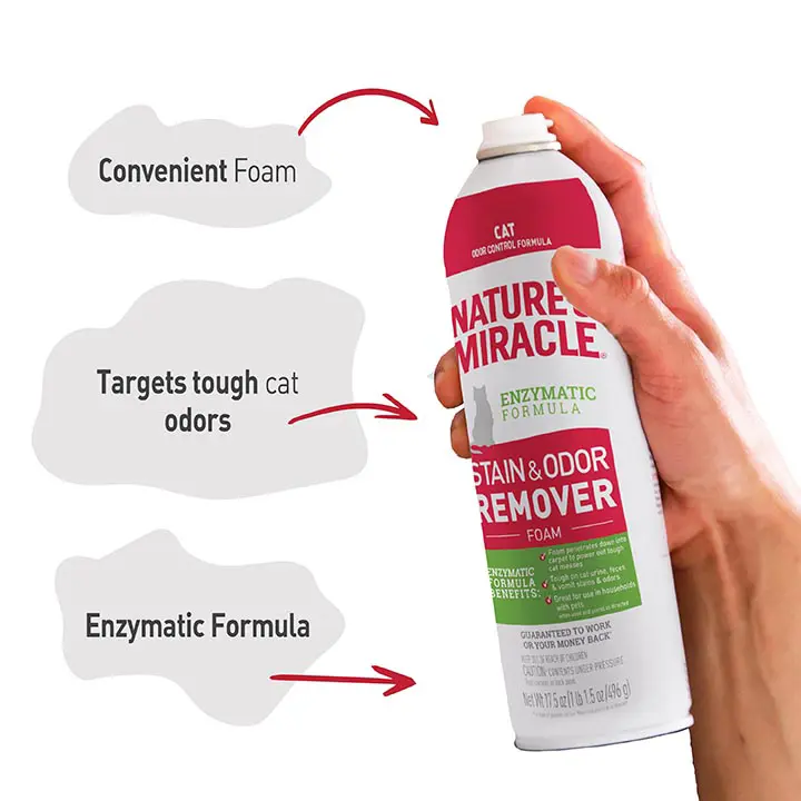 Stain and Odor Remover for Cats Foam