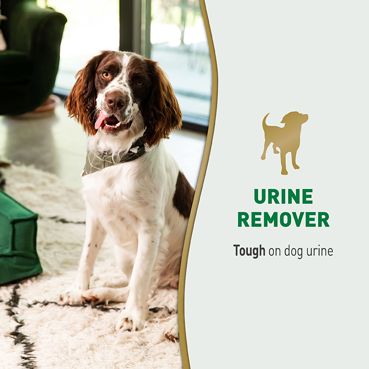 Urine Remover for Dogs