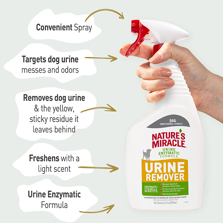Puppy urine remover outlet