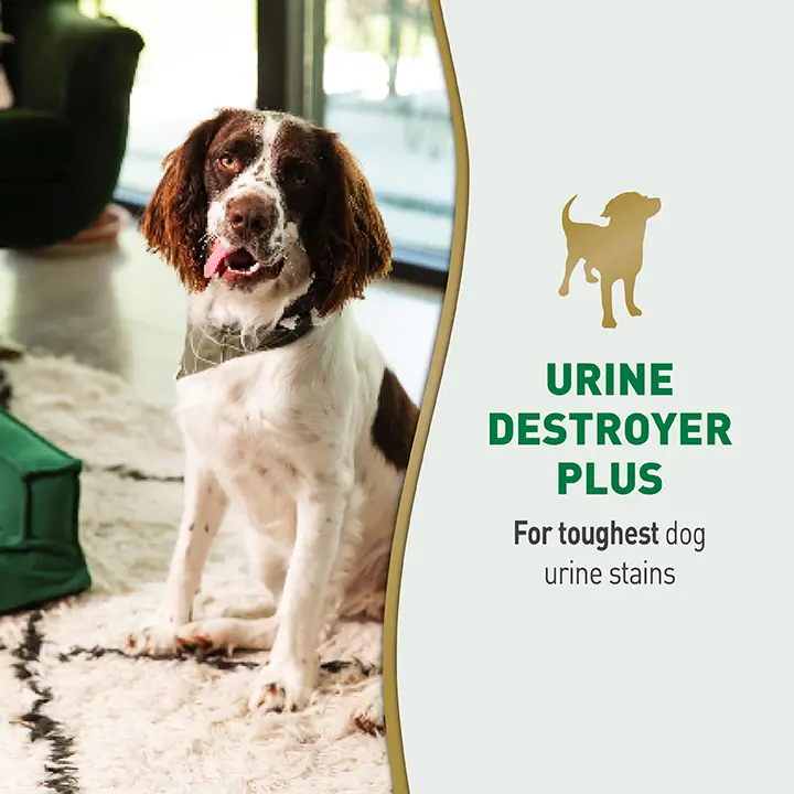 Urine Destroyer Plus