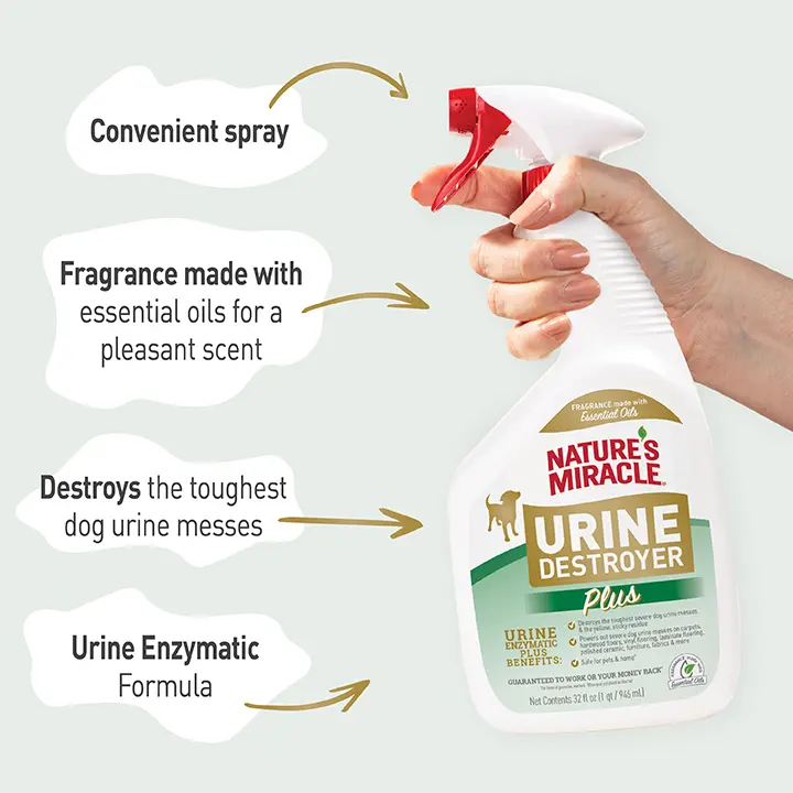 Nature's miracle urine destroyer carpet shampoo top