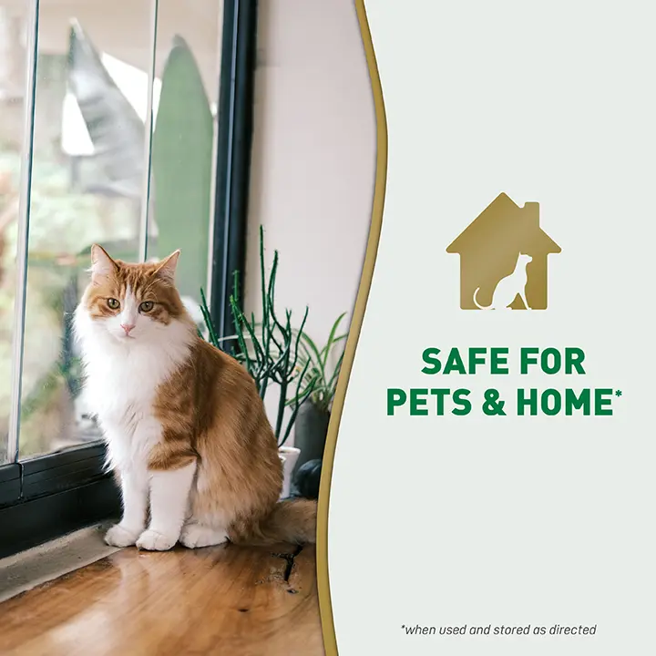 Safe For Pets and Home 