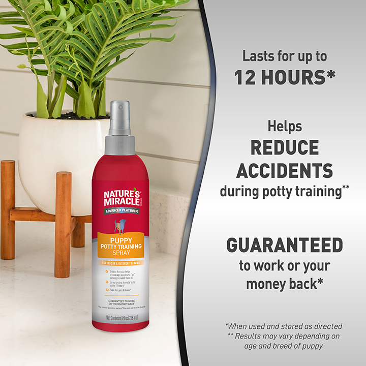 Lifestyle image Puppy Potty Training Spray