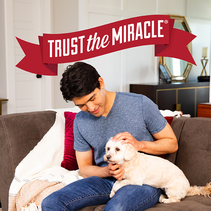 Trust The Miracle
