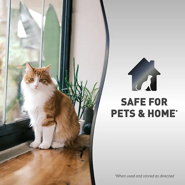Cat clawing deterrent cheap