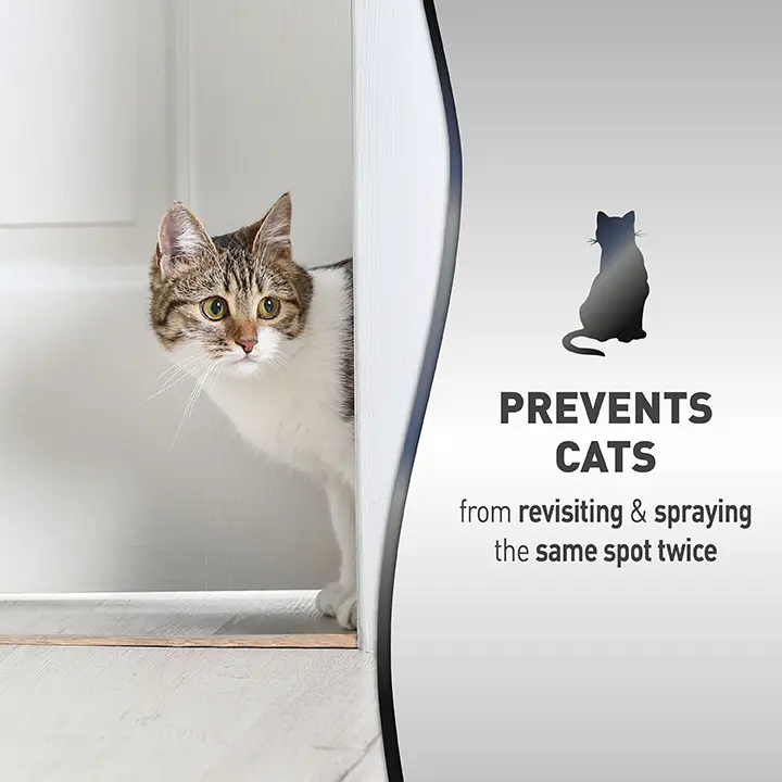Cat No More Spraying Feature
