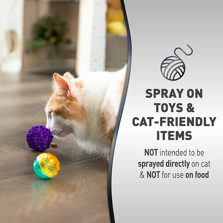 Cat playing with toys
