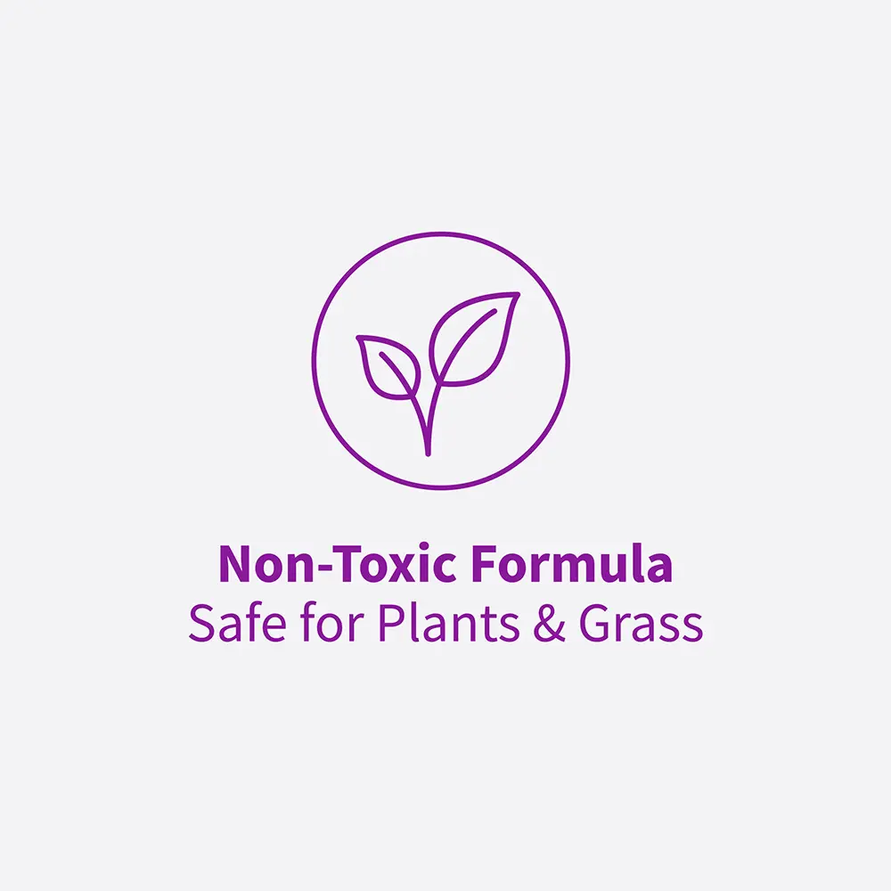 Non Toxic Formula