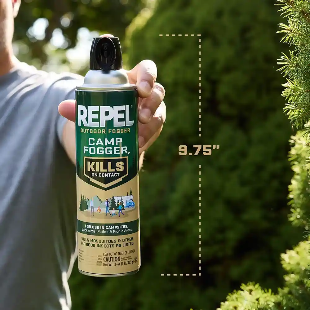 Scale of can size