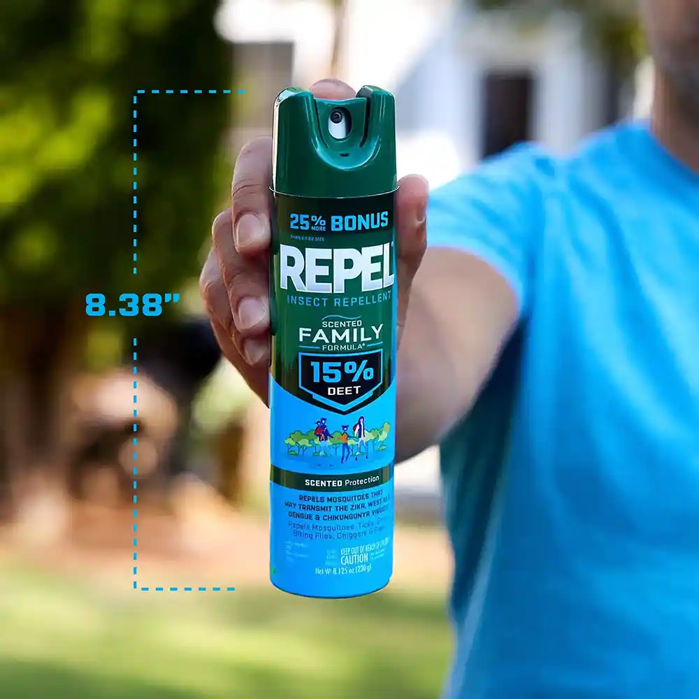 Scale of can size
