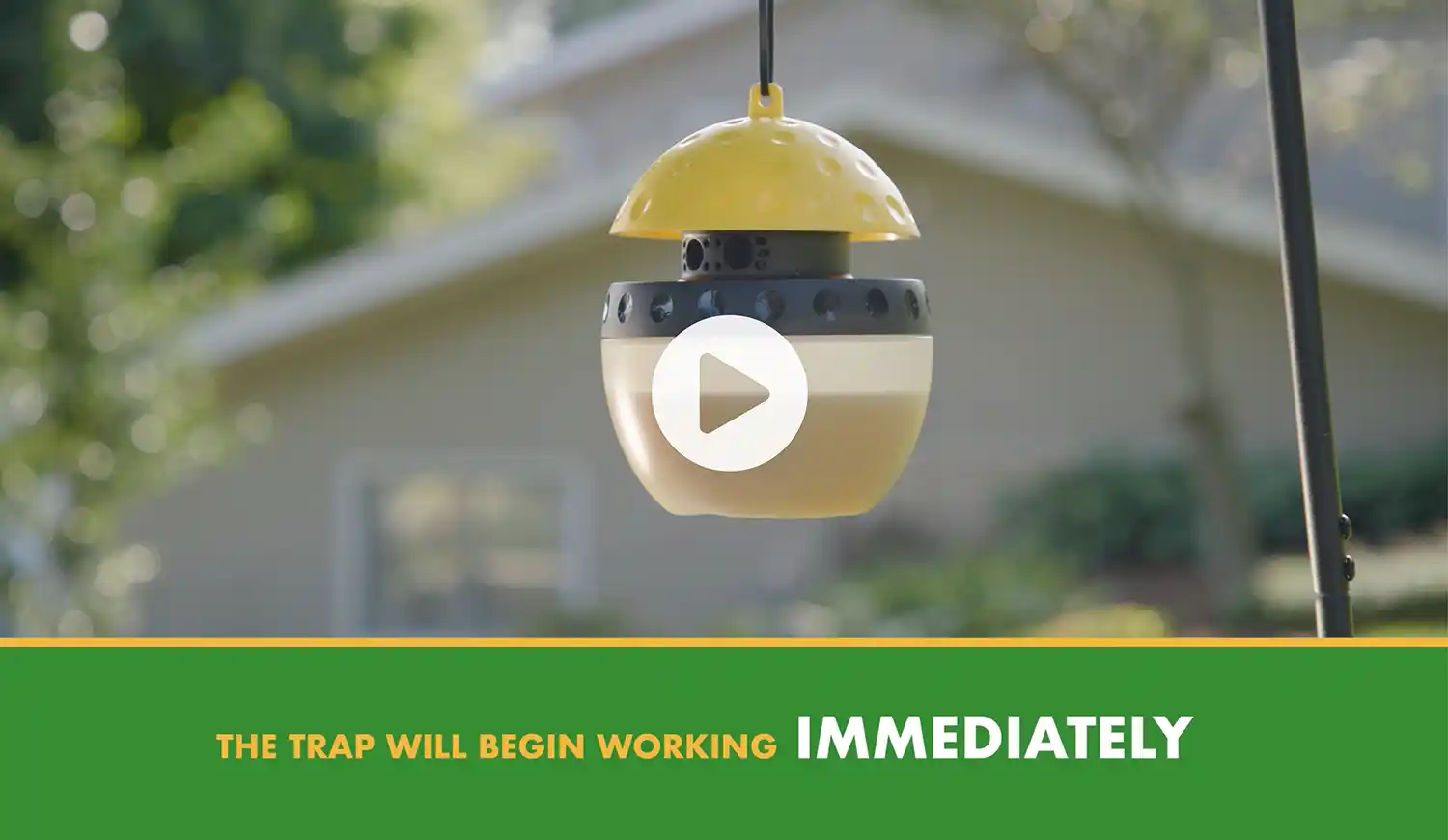 Wasp, Hornet, & Yellowjacket Trap