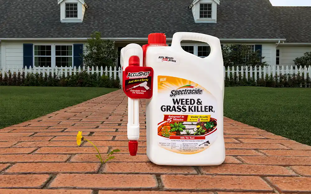 Weed & Grass Killer₂ AccuShot® Sprayer