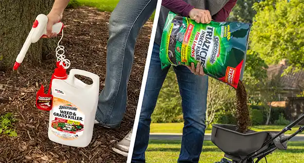 Indoor vs Outdoor Pest Control Comparison Thumbnail