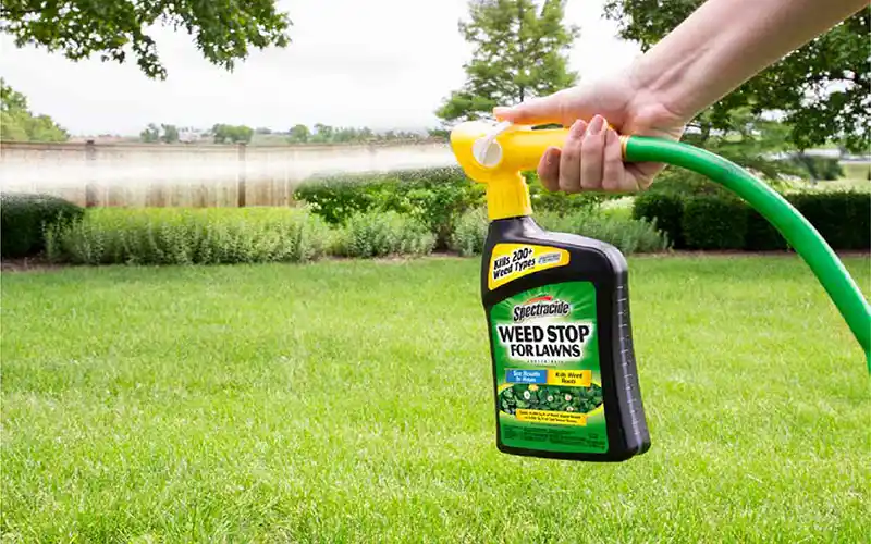 Ready To Spray