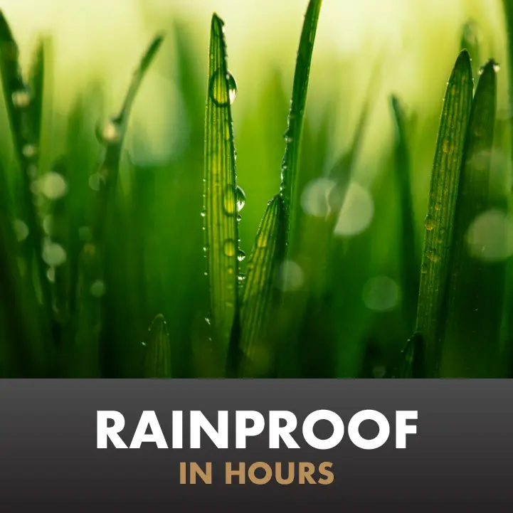Immunox Fungus Plus Insect Control is Rainproof in Hours