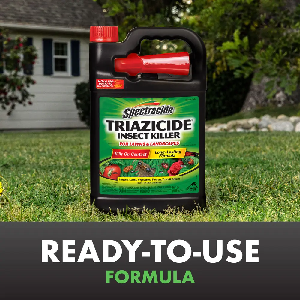 Ready-to-Use Formula