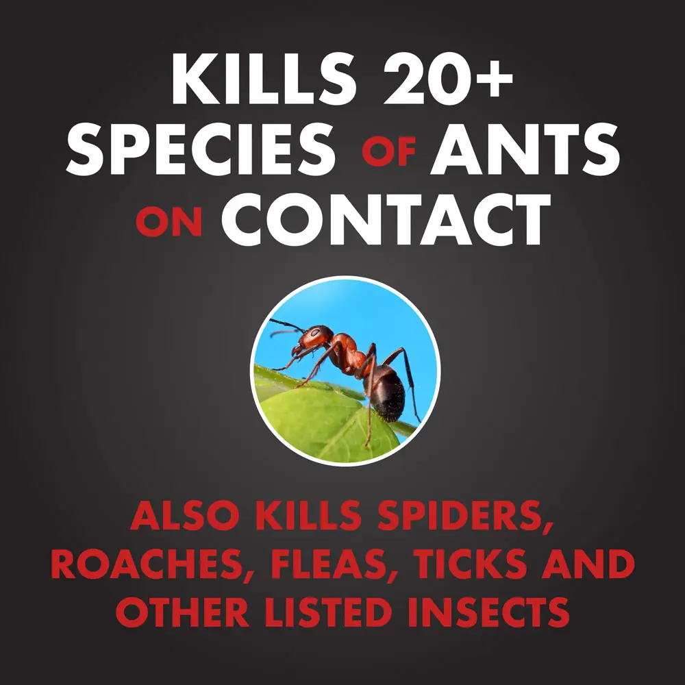 Kills 20+ Species of Ants on Contact - Also Kills Spiders, Roaches, Fleas, Ticks, and Other Listed Insects