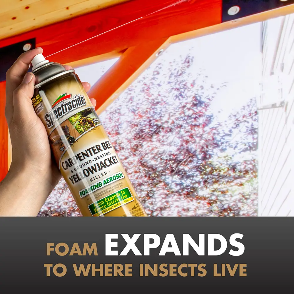 Foam Expands to Where Insects Live