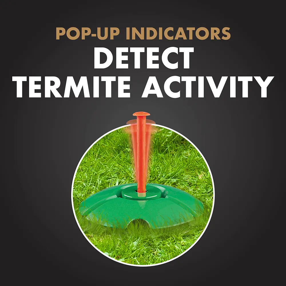 Pop Up Indicators