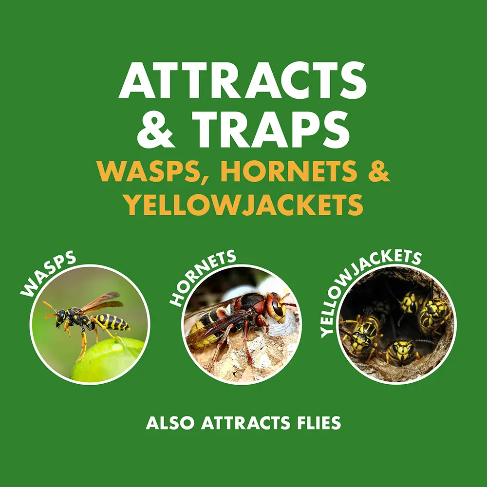 Attracts and Traps: Wasps, Hornets, and Yellowjackets, and Flies