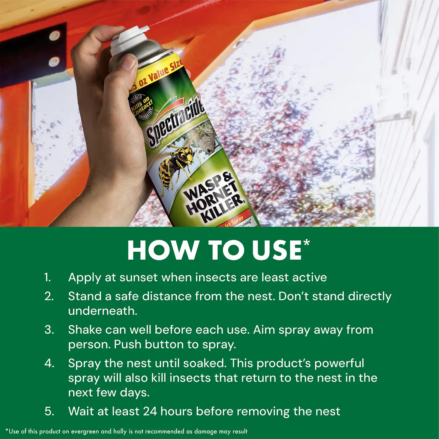Wasp & Hornet How to Use