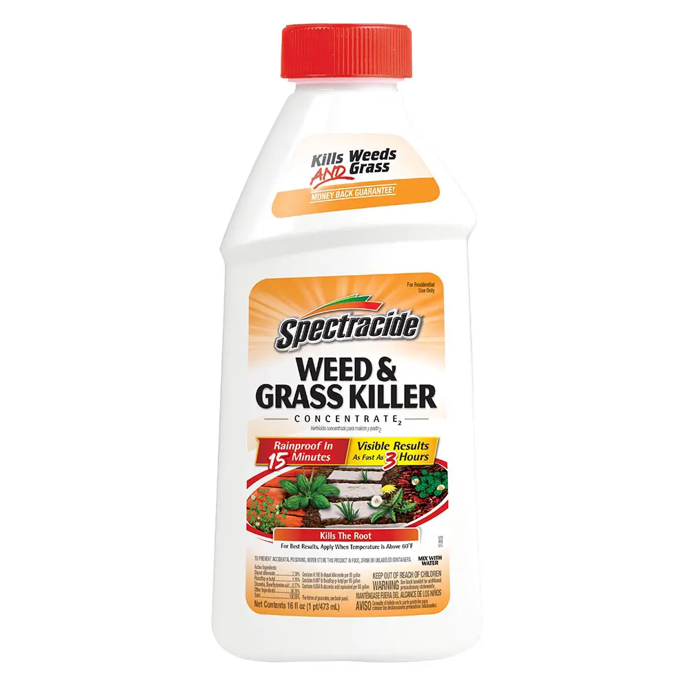 Weed and Grass Killer Concentrate 16 oz front