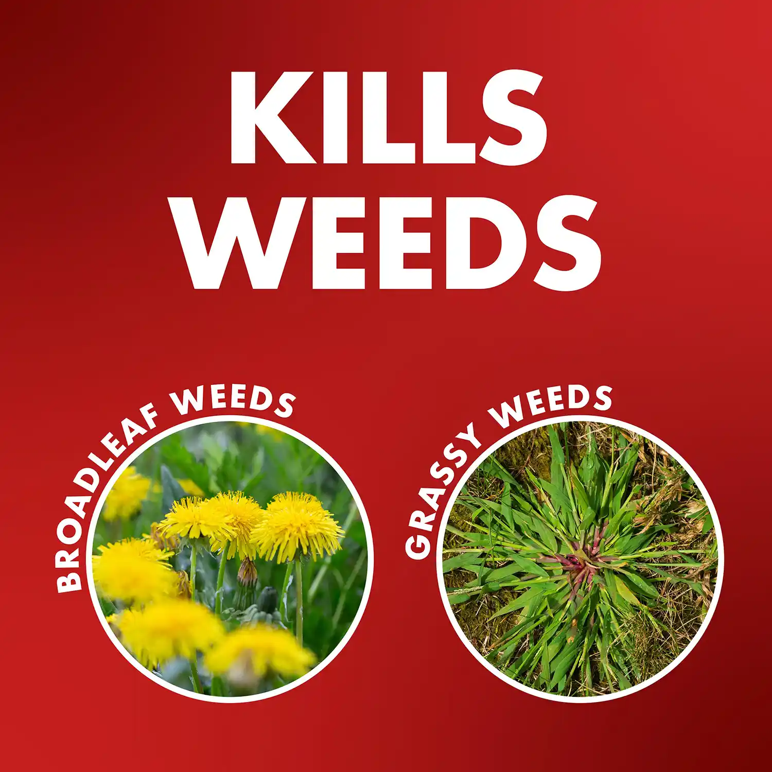One Shot Weed and Grass Killers 32 oz - Kills Weeds