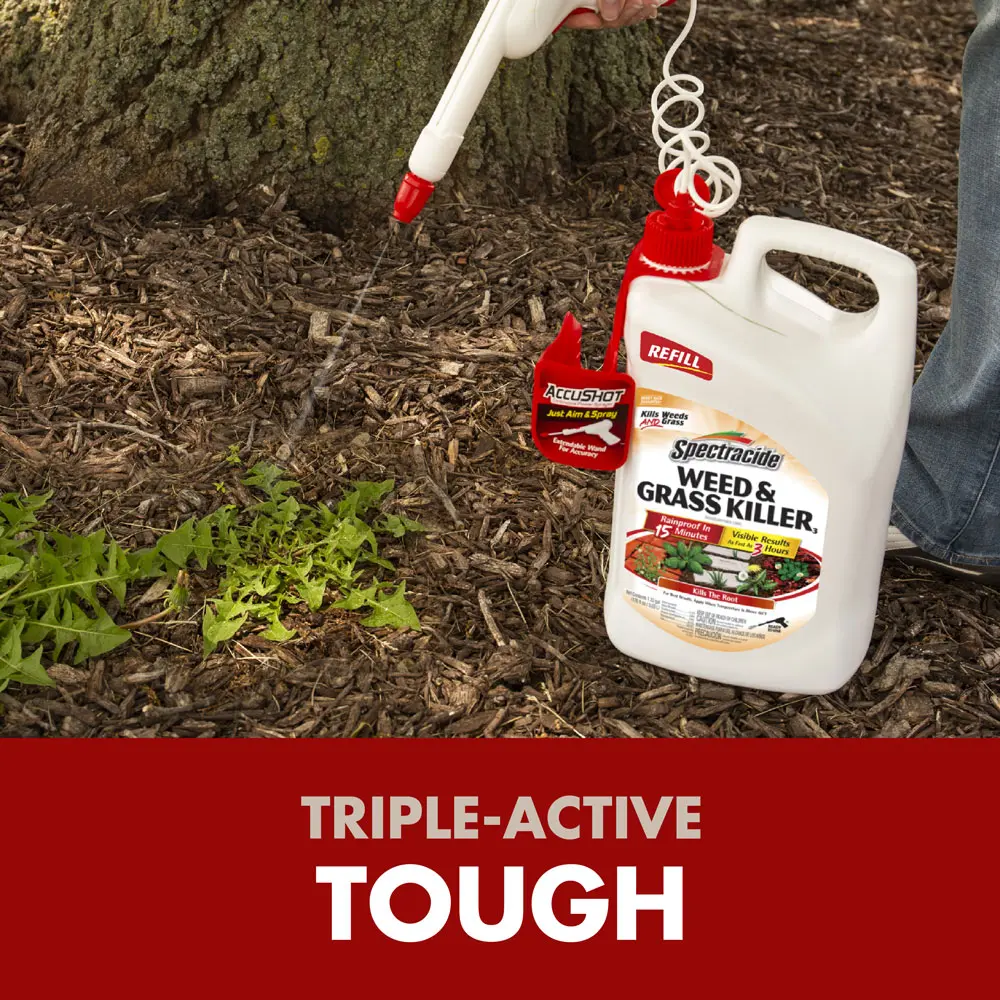 Triple-Active Tough