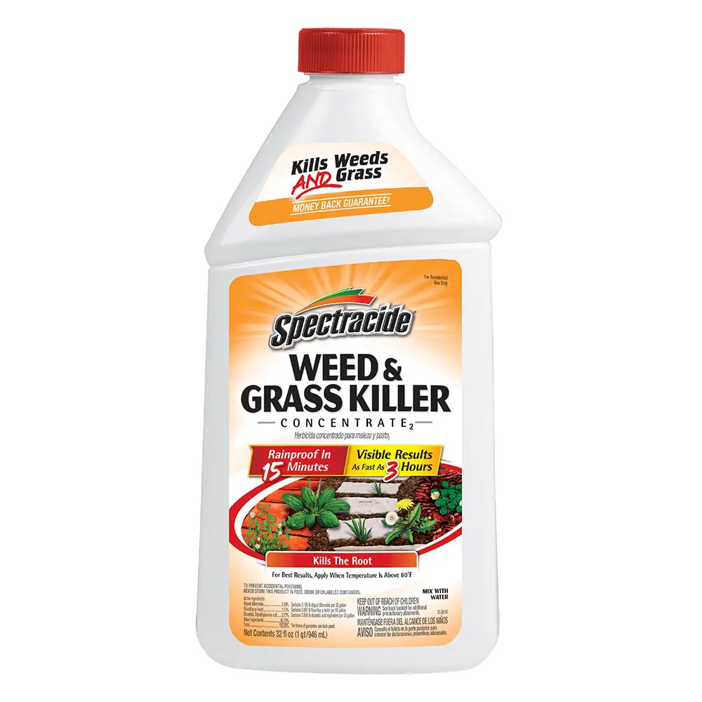 Weed and Grass Killer Concentrate2 32 oz front
