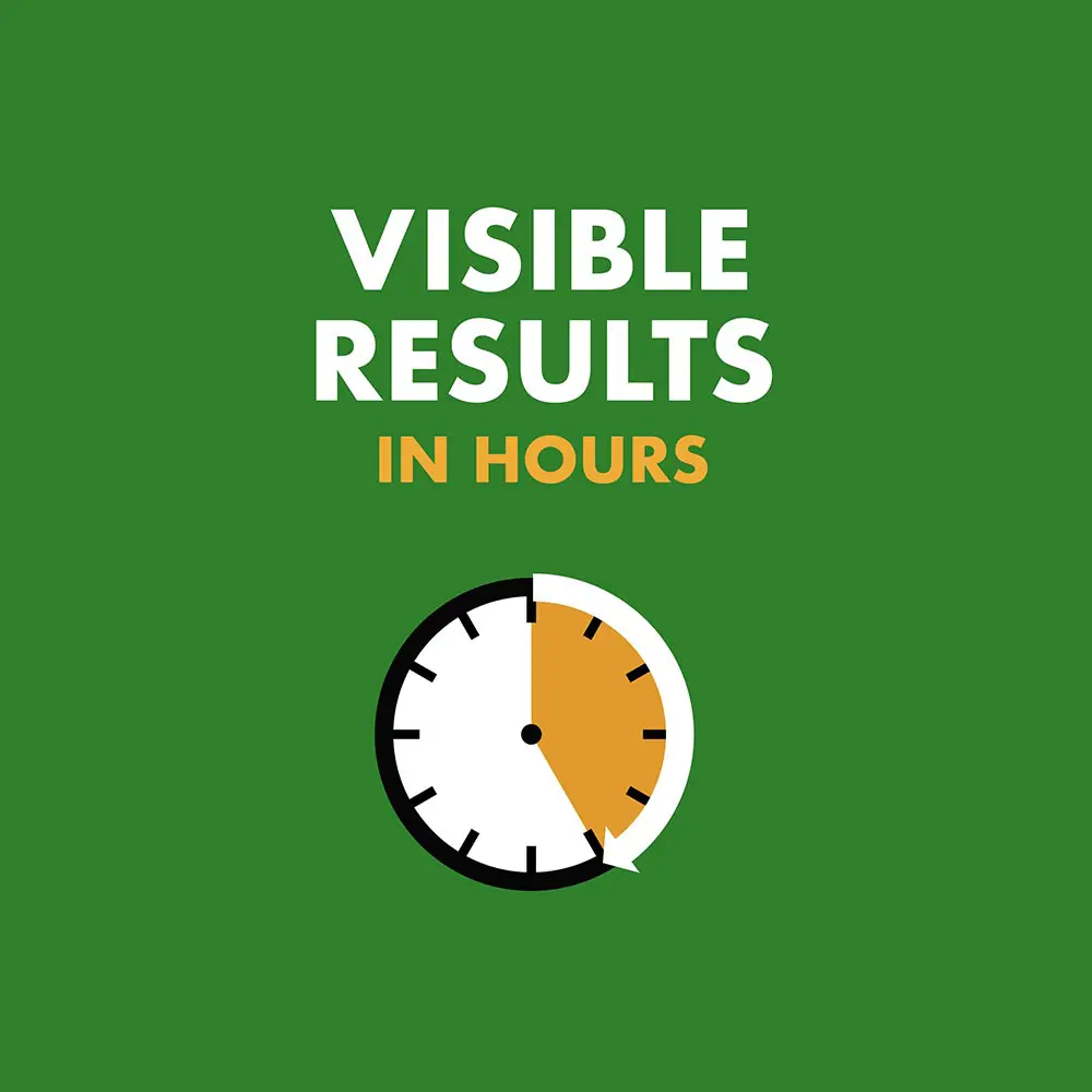 Visible Results in Hours