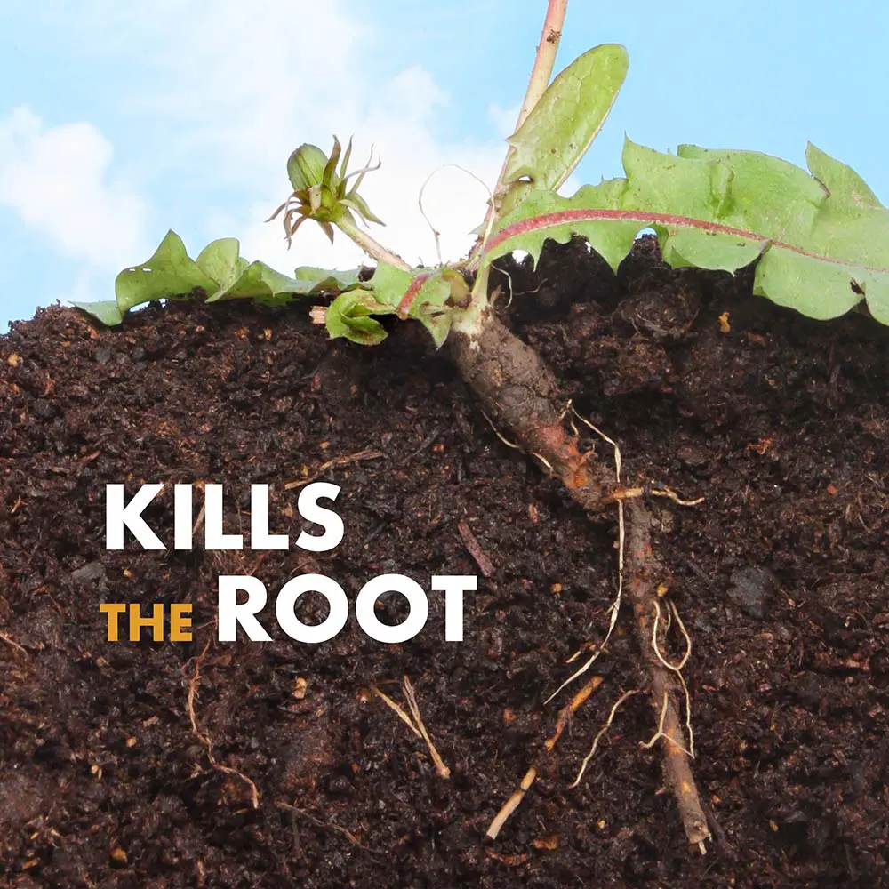 Kills the root
