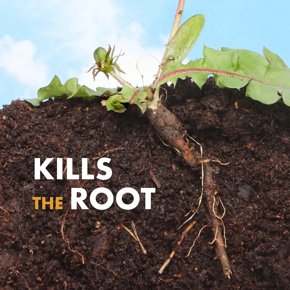 Kills the root
