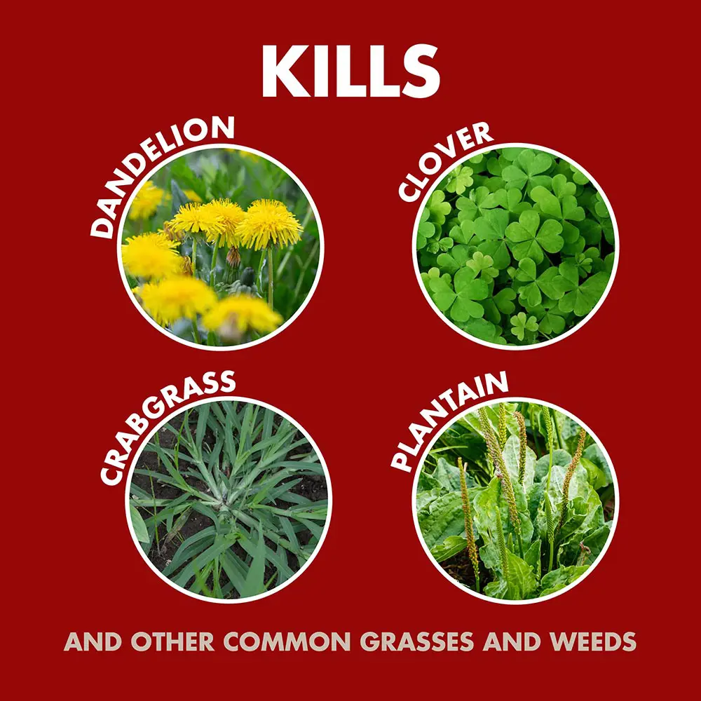 Kills dandelion, clover, crabgrass, plantain, and other common grasses and weeds