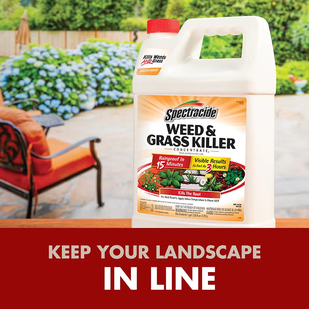 Keep your landscape in line