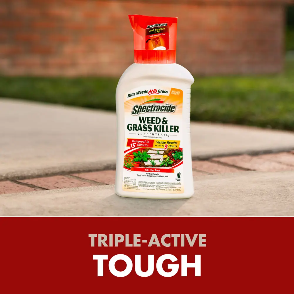 Triple-Active Tough