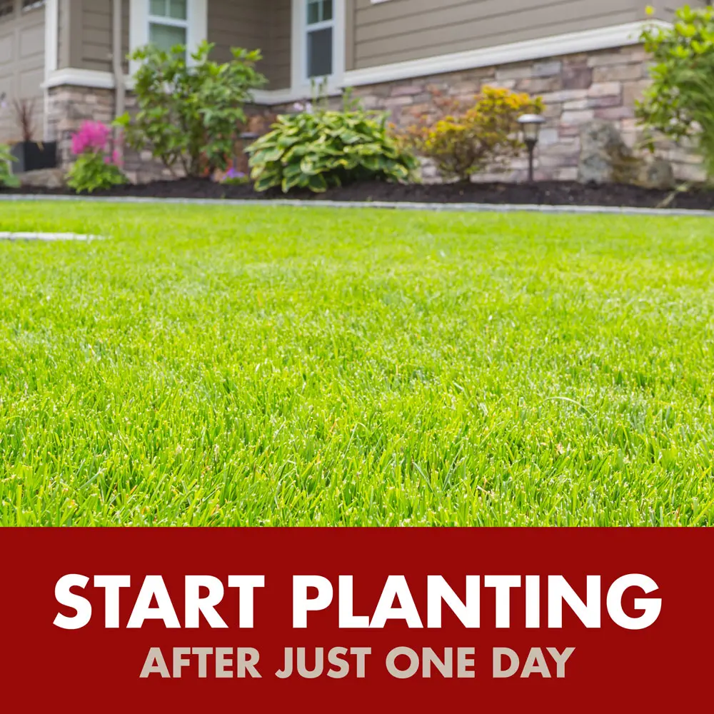 Start Planting After Just One Day