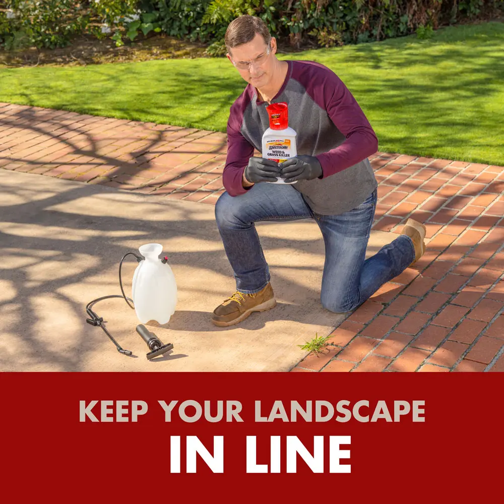 Keep Your Landscape In Line