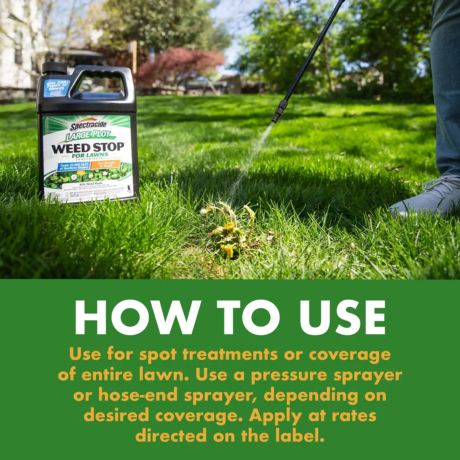 HOW TO USE: Use for spot treatments or coverage of entire lawn. Use a pressure sprayer or hose-end sprayer, depending on desired coverage. Apply at rates directed on the label.