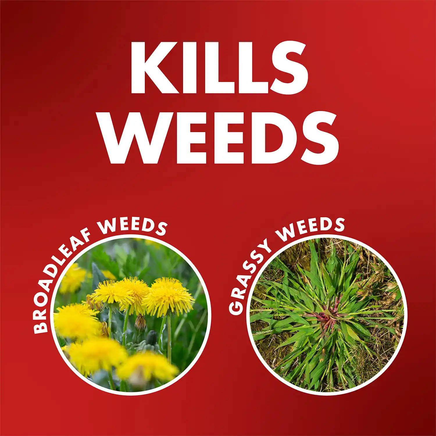 One-Shot® Weed & Grass Killer2 with AccuShot® Sprayer 1 Gallon - Kills Weeds