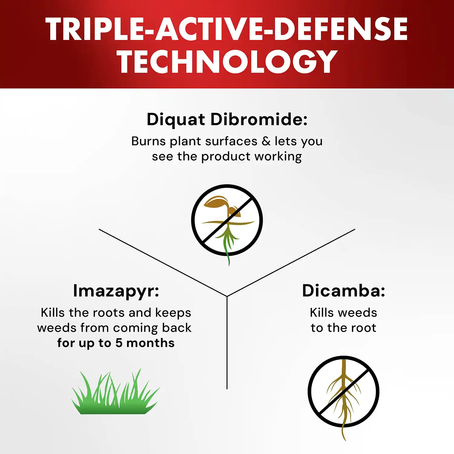 One-Shot® Weed & Grass Killer2 with AccuShot® Sprayer 1 Gallon - Triple-Active-Defense Technology