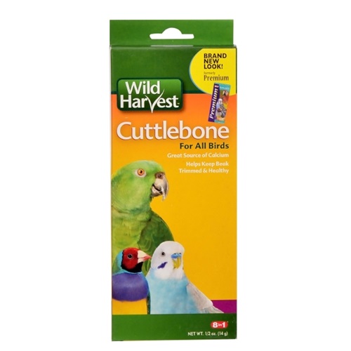 Cuttlebone For All Birds