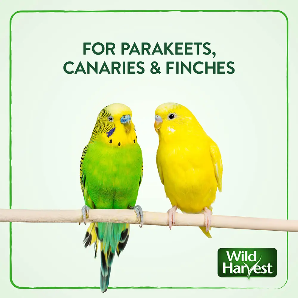 FOR PARAKEETS, CANARIES and FINCHES