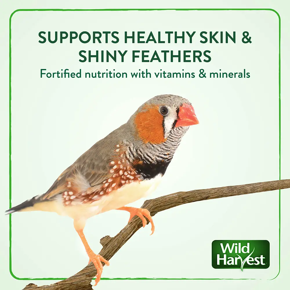 SUPPORTS HEALTHY SKIN and SHINY FEATHERS. Fortified nutrition with vitamins and minerals