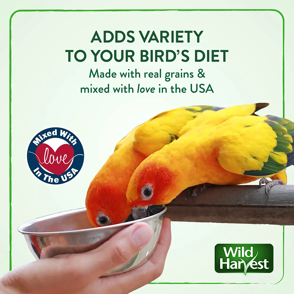 ADDS VARIETY TO YOUR BIRD'S DIET. Made with real grains and mixed with love in the USA