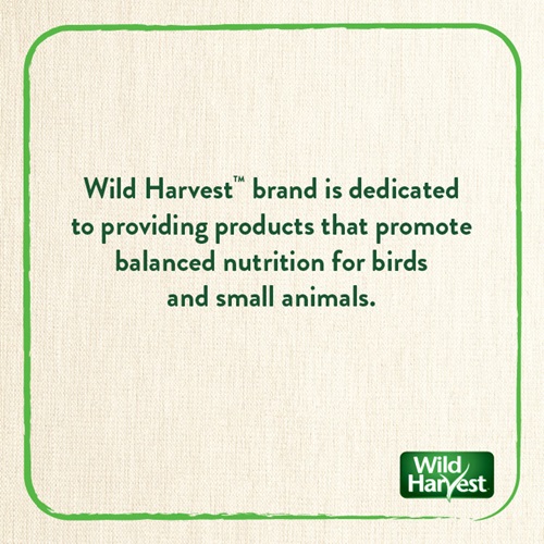 Healthy Benefits Sprout Blend for Small and Medium Birds, 2.5 oz