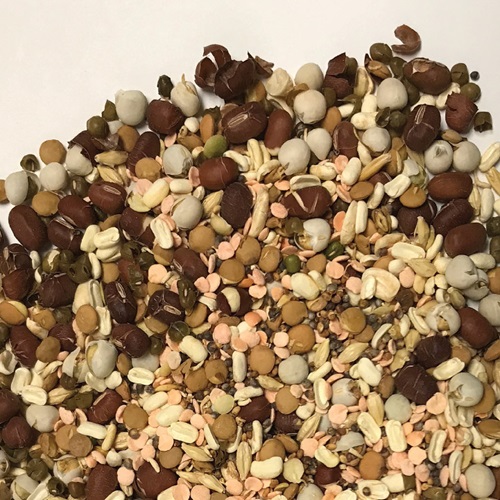 Healthy Benefits Sprout Blend for Large Birds