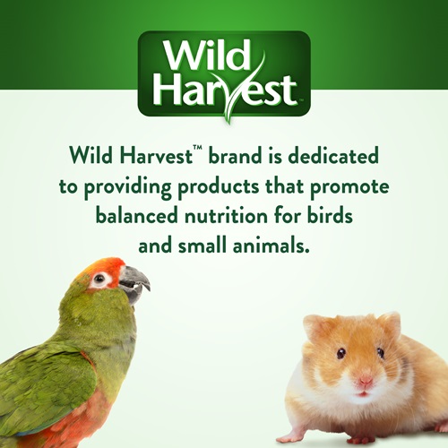 Universal Blend for Medium and Large Birds